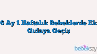 6 Ay 1 Haftalık Bebeklerde Ek Gıdaya Geçiş