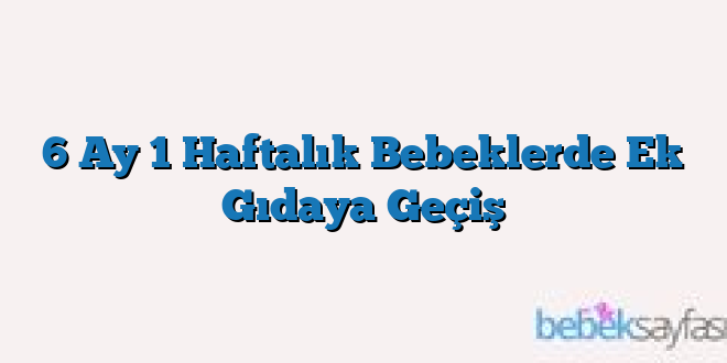 6 Ay 1 Haftalık Bebeklerde Ek Gıdaya Geçiş