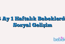 6 Ay 1 Haftalık Bebeklerde Sosyal Gelişim