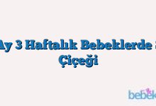 6 Ay 3 Haftalık Bebeklerde Su Çiçeği