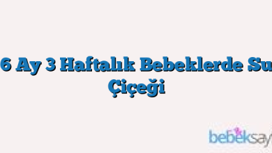 6 Ay 3 Haftalık Bebeklerde Su Çiçeği