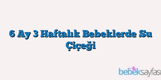 6 Ay 3 Haftalık Bebeklerde Su Çiçeği