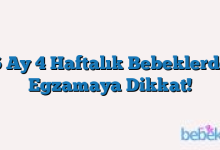 6 Ay 4 Haftalık Bebeklerde Egzamaya Dikkat!