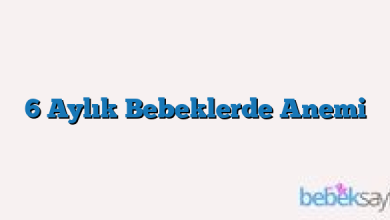 6 Aylık Bebeklerde Anemi
