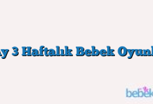 7 Ay 3 Haftalık Bebek Oyunları