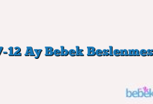 7-12 Ay Bebek Beslenmesi