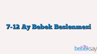 7-12 Ay Bebek Beslenmesi