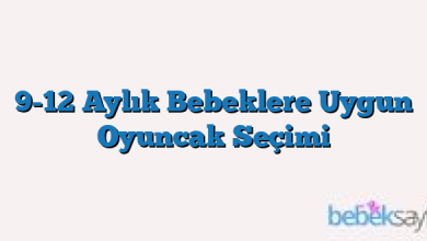 9-12 Aylık Bebeklere Uygun Oyuncak Seçimi
