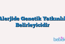 Alerjide Genetik Yatkınlık Belirleyicidir
