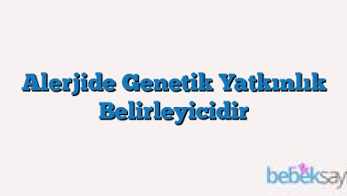 Alerjide Genetik Yatkınlık Belirleyicidir