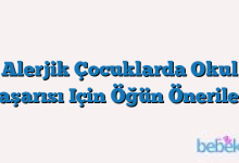 Alerjik Çocuklarda Okul Başarısı Için Öğün Önerileri
