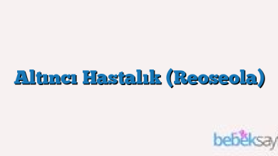 Altıncı Hastalık (Reoseola)