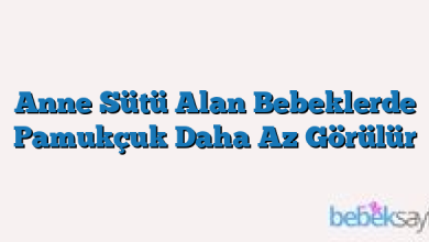 Anne Sütü Alan Bebeklerde Pamukçuk Daha Az Görülür
