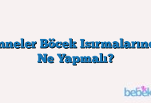 Anneler Böcek Isırmalarında Ne Yapmalı?