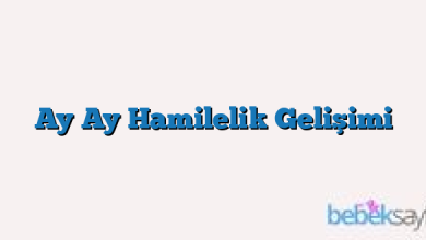 Ay Ay Hamilelik Gelişimi