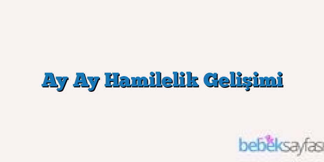 Ay Ay Hamilelik Gelişimi
