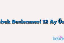 Bebek Beslenmesi 12 Ay Üstü