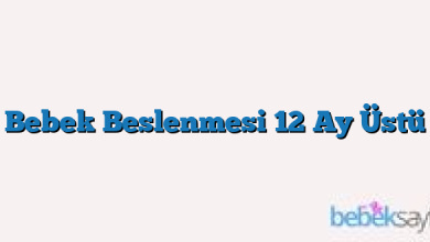 Bebek Beslenmesi 12 Ay Üstü
