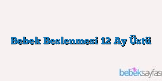Bebek Beslenmesi 12 Ay Üstü
