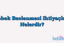 Bebek Beslenmesi Ihtiyaçları Nelerdir?