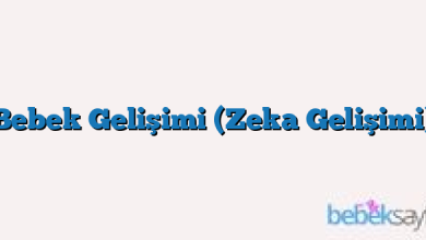 Bebek Gelişimi (Zeka Gelişimi)