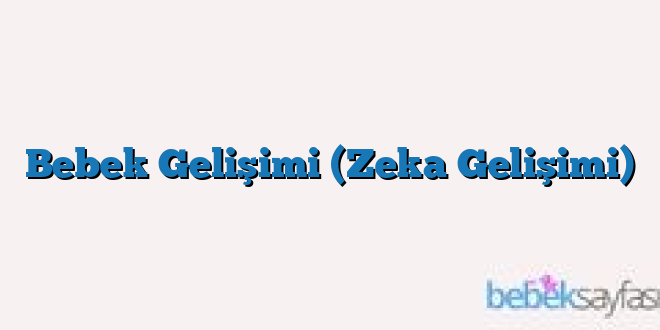 Bebek Gelişimi (Zeka Gelişimi)
