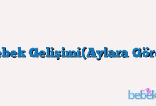 Bebek Gelişimi(Aylara Göre )