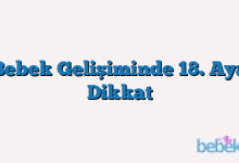 Bebek Gelişiminde 18. Aya Dikkat