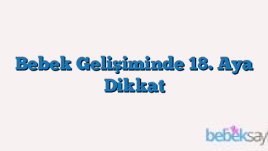 Bebek Gelişiminde 18. Aya Dikkat