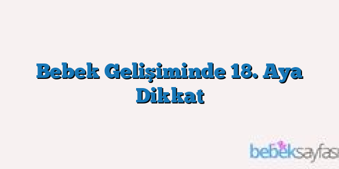 Bebek Gelişiminde 18. Aya Dikkat