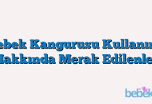 Bebek Kangurusu Kullanımı Hakkında Merak Edilenler