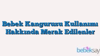 Bebek Kangurusu Kullanımı Hakkında Merak Edilenler