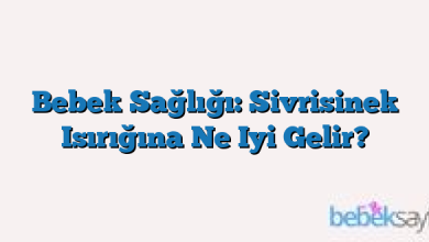 Bebek Sağlığı: Sivrisinek Isırığına Ne Iyi Gelir?