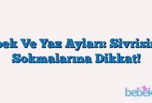 Bebek Ve Yaz Ayları: Sivrisinek Sokmalarına Dikkat!