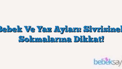 Bebek Ve Yaz Ayları: Sivrisinek Sokmalarına Dikkat!