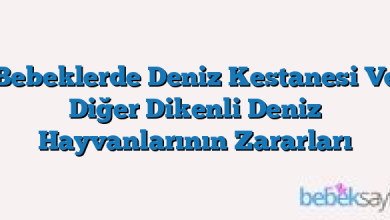Bebeklerde Deniz Kestanesi Ve Diğer Dikenli Deniz Hayvanlarının Zararları