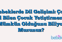 Bebeklerde Dil Gelişimi: Çok Dil Bilen Çocuk Yetiştirmenin Mümkün Olduğunu Biliyor Musunuz?