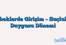 Bebeklerde Girişim – Suçluluk Duygusu Dönemi