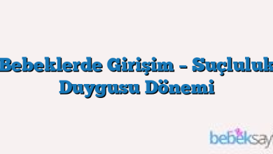 Bebeklerde Girişim – Suçluluk Duygusu Dönemi