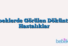 Bebeklerde Görülen Döküntülü Hastalıklar