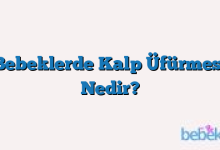Bebeklerde Kalp Üfürmesi Nedir?