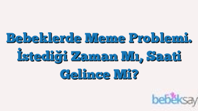 Bebeklerde Meme Problemi. İstediği Zaman Mı, Saati Gelince Mi?