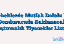 Bebeklerde Mutfak Dolabı Ve Dondurucuda Saklanacak Atıştırmalık Yiyecekler Listesi