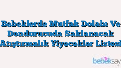 Bebeklerde Mutfak Dolabı Ve Dondurucuda Saklanacak Atıştırmalık Yiyecekler Listesi