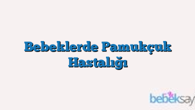 Bebeklerde Pamukçuk Hastalığı