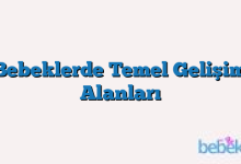 Bebeklerde Temel Gelişim Alanları
