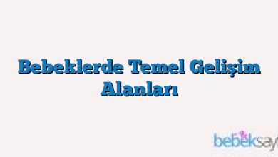 Bebeklerde Temel Gelişim Alanları