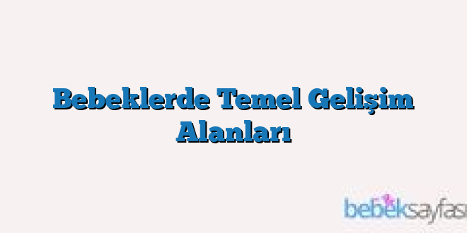 Bebeklerde Temel Gelişim Alanları