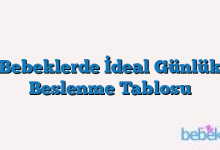 Bebeklerde İdeal Günlük Beslenme Tablosu