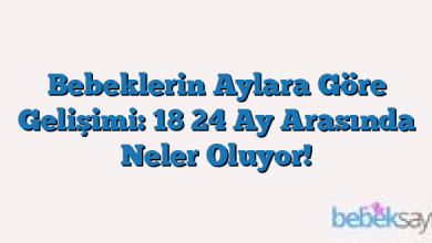 Bebeklerin Aylara Göre Gelişimi: 18 24 Ay Arasında Neler Oluyor!